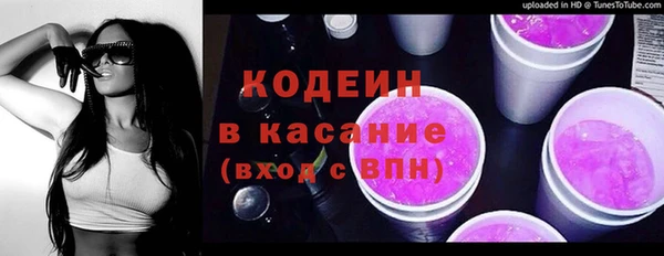 твердый Бородино