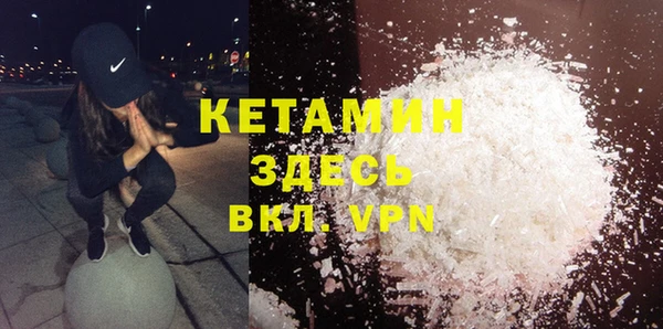 твердый Бородино