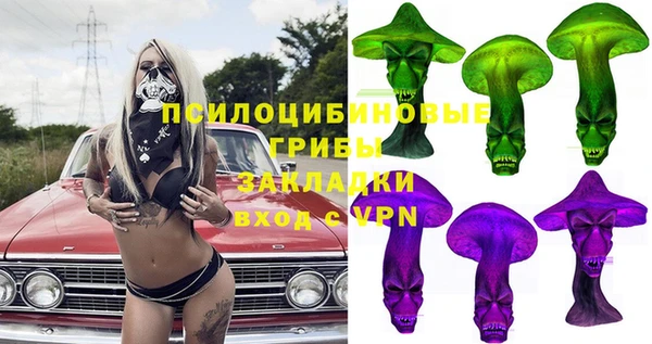 твердый Бородино