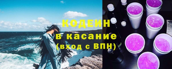 твердый Бородино