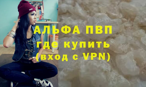 прущий лед Богданович