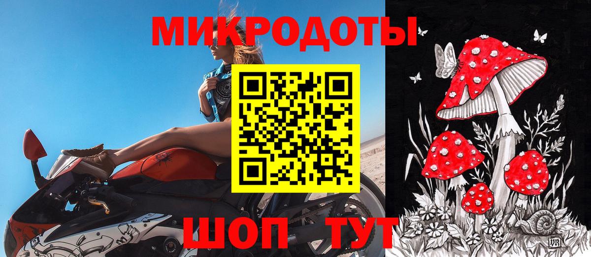 Гудермес  Галлюциногенные грибы мухоморы  Галлюциногенные грибы Magic Shrooms  Вход с VPN 