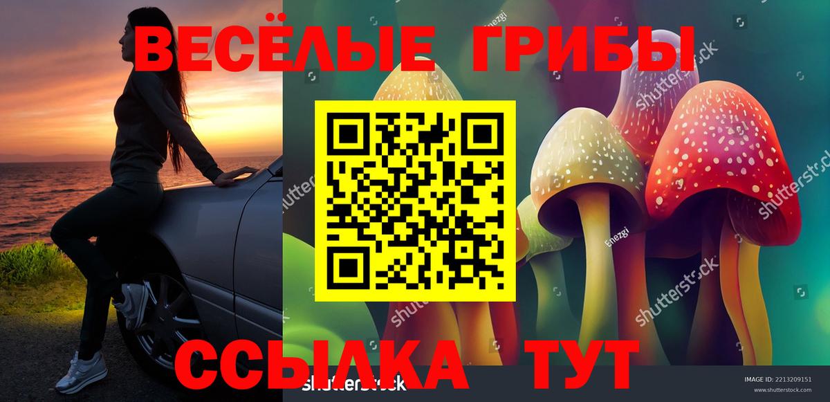 Галлюциногенные грибы мицелий Гудермес